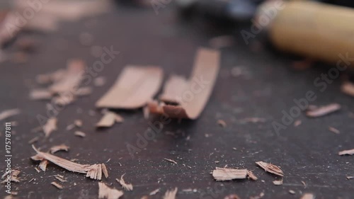 Wood Shavings