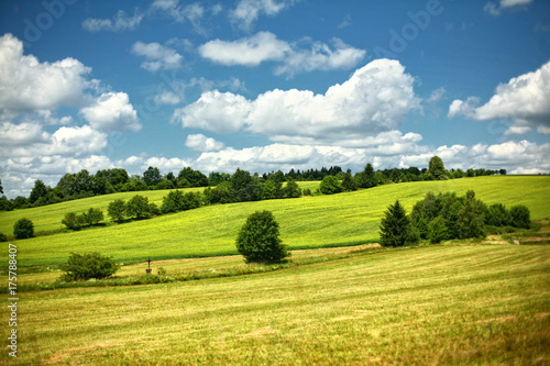Rolling Green Hills in Meadow Landscape on Sunny Summer Day with Blue Sky and White Clouds photo