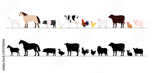 Farm animals border set