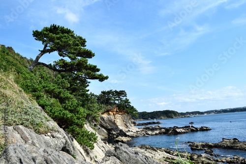 三浦半島 横須賀市荒崎公園リアス式海岸 © op2015 / JAPAN