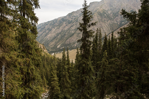 Kyrgyzstan. Gorge Barskoon. photo