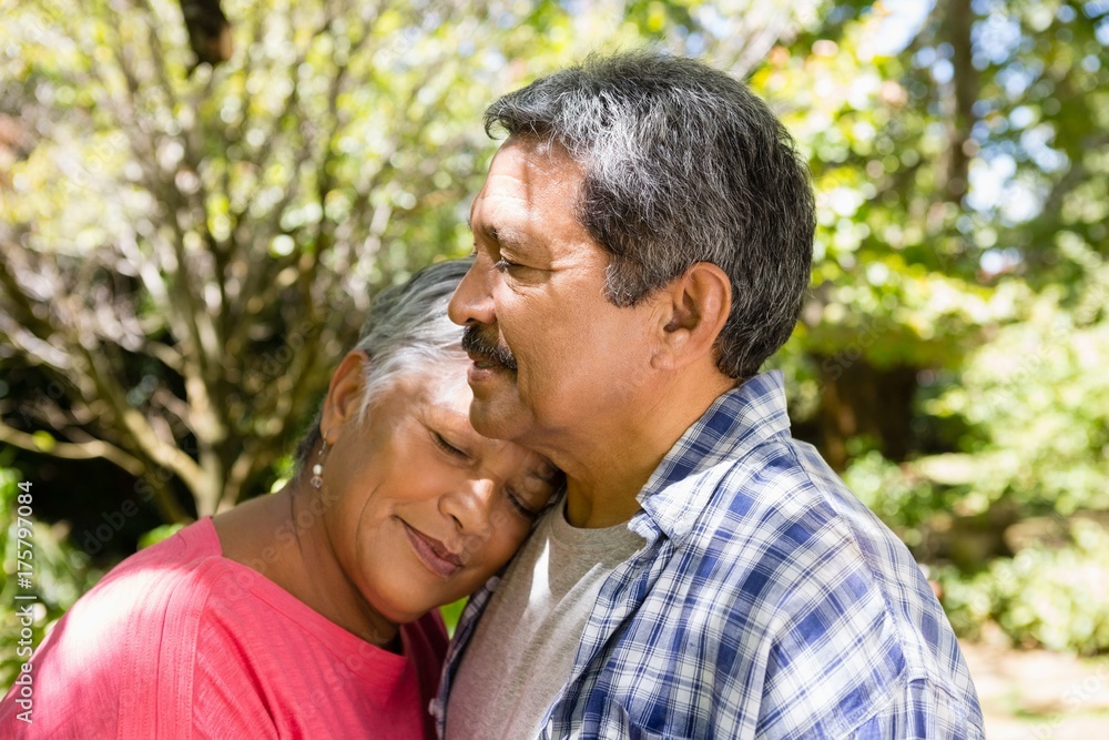 Senior couple embracing each other in garden