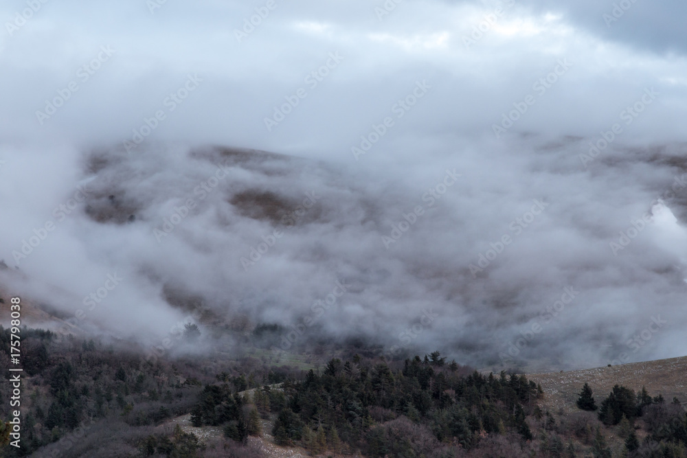 Fog covering some mountains, with trees in the foreground