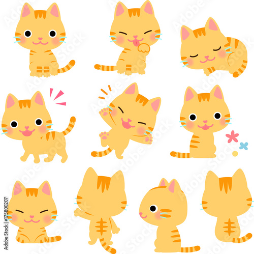 茶トラ猫のイラストセット