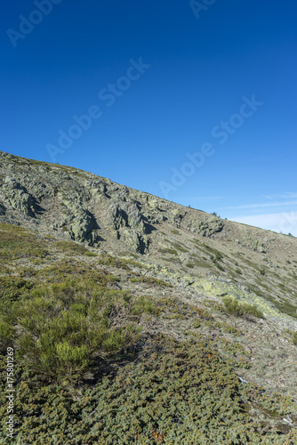 Alpine grasslands of Fescue (Festuca indigesta) and Padded brushwood (Cytisus oromediterraneus and Juniperus communis) in Guadarrama Mountains National Park, Spain © ihervas