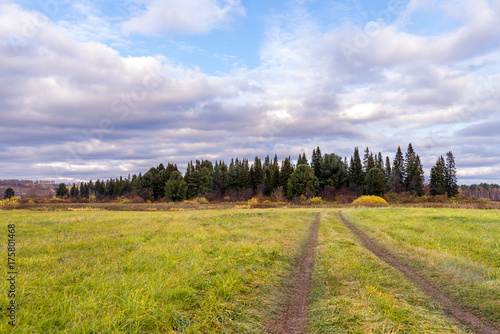 Path in the field leading to the forest