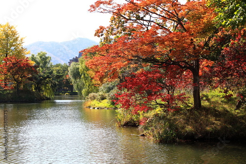 Autumn leaves of Sapporo park　Autumn leaves of Japanese garden