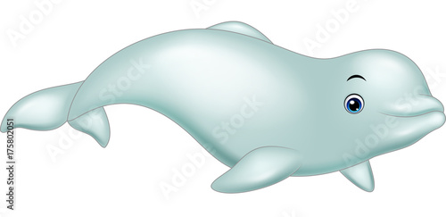 Cartoon beluga isolated on white background