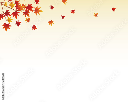 Wallpaper Mural 紅葉 秋 Torontodigital.ca