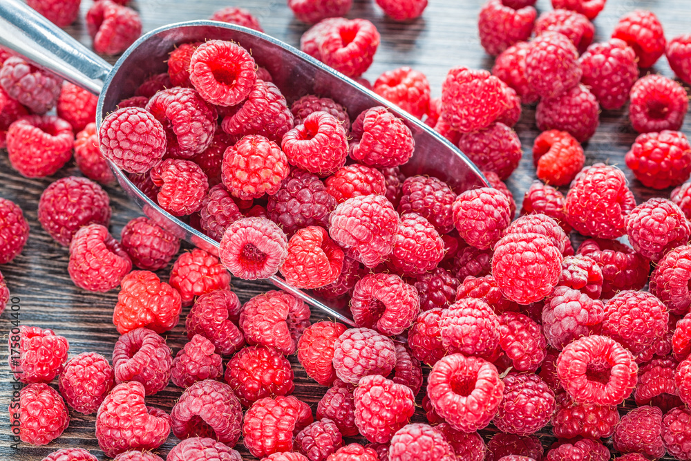 Ripe raspberry scoop healthy food concept Ripe raspberry scoop healthy food concept
