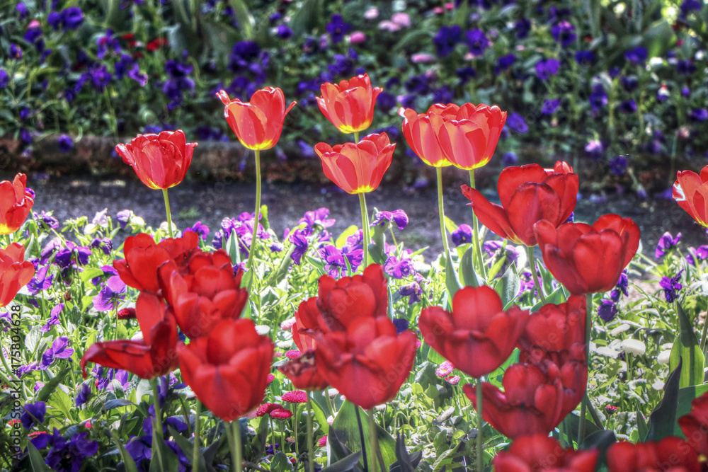 Obraz premium Czech Republic