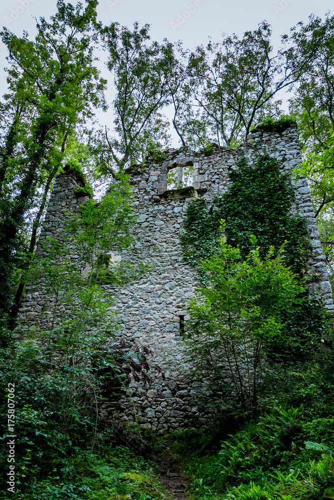 Fototapeta premium Ruines à Peyrusse-le-Roc