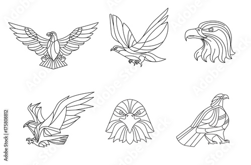 Eagle, Line vector, sign and symbol, Vector illustration.