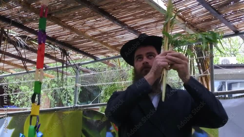 Jewish Orthodox Rabbi blessing on the Four Species in a Sukkah on ...
