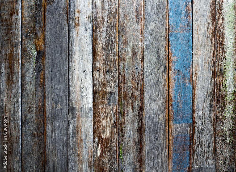 Wood texture or background plank.