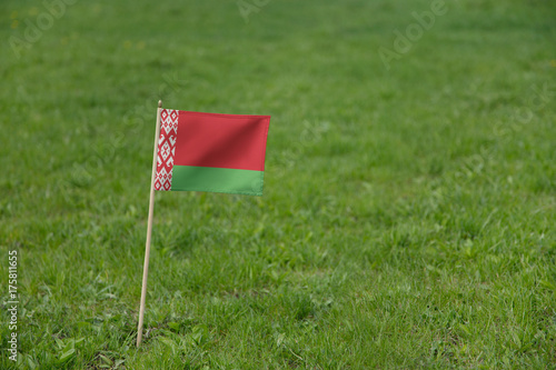 Belarus flag, Belarusian flag on a green grass lawn field background. National flag of Belarus waving outdoors