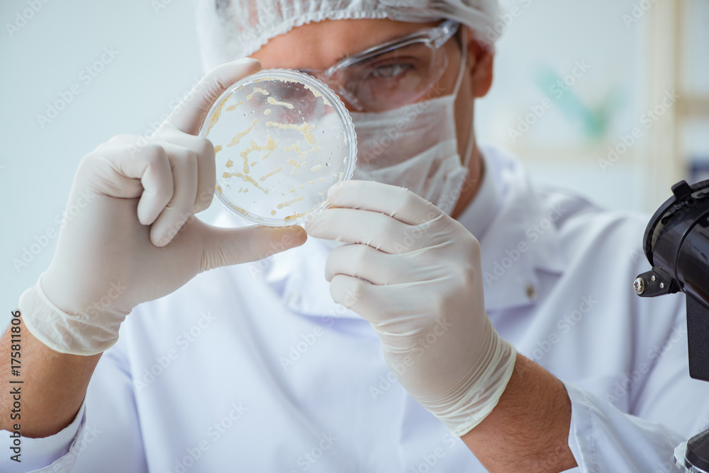 Female scientist researcher conducting an experiment in a labora Female scientist researcher conducting an experiment in a labora