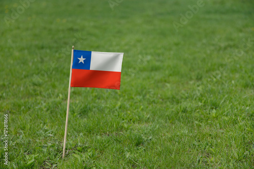 Chile flag, Chilean flag on a green grass lawn field background. National flag of Chile waving outdoor