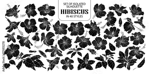 Set of isolated silhouette hibiscus in 40 styles. Cute hand drawn vector illustration flowers in white outline and black plane.