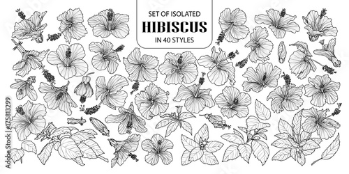 Set of isolated hibiscus in 40 styles. Cute hand drawn vector illustration flowers in white outline and black plane.