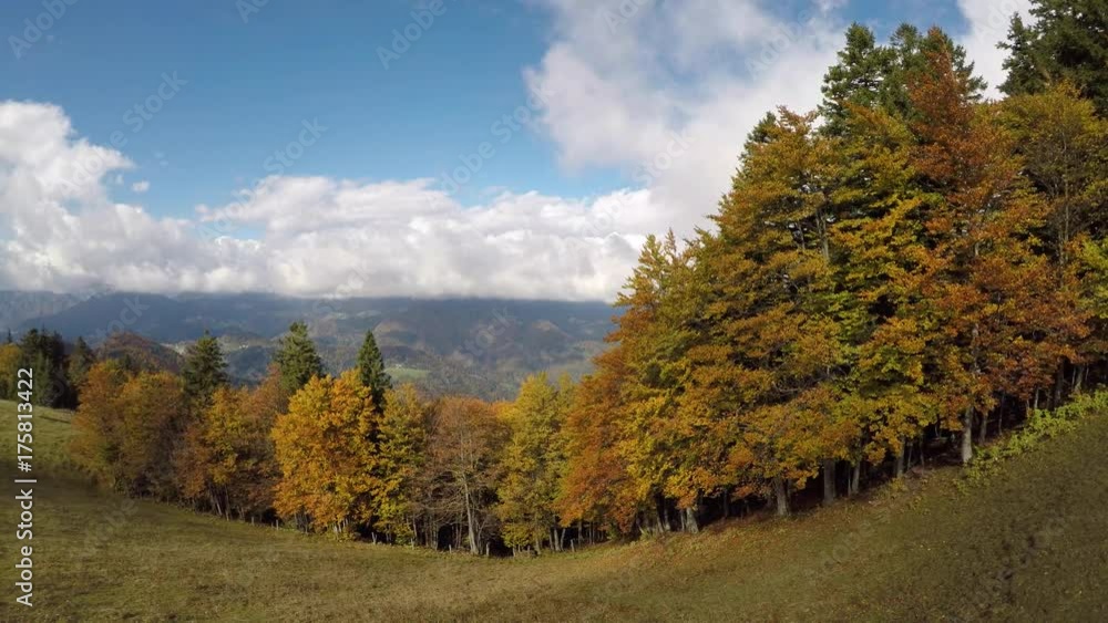 Aerial : Autumn forest meadow with white clouds at the background Aerial : Autumn forest meadow with white clouds at the background