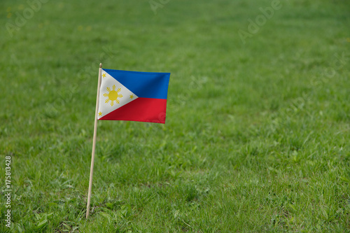 Philippines flag, Philippine flag on a green grass lawn field background. National flag of Philippines waving outdoor