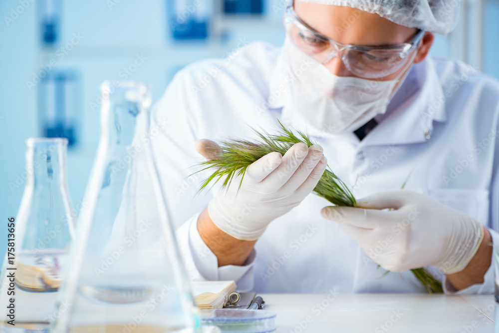 Biotechnology concept with scientist in lab Biotechnology concept with scientist in lab