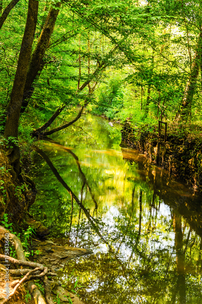 Green Stream Past Abandoned Mill Green Stream Past Abandoned Mill