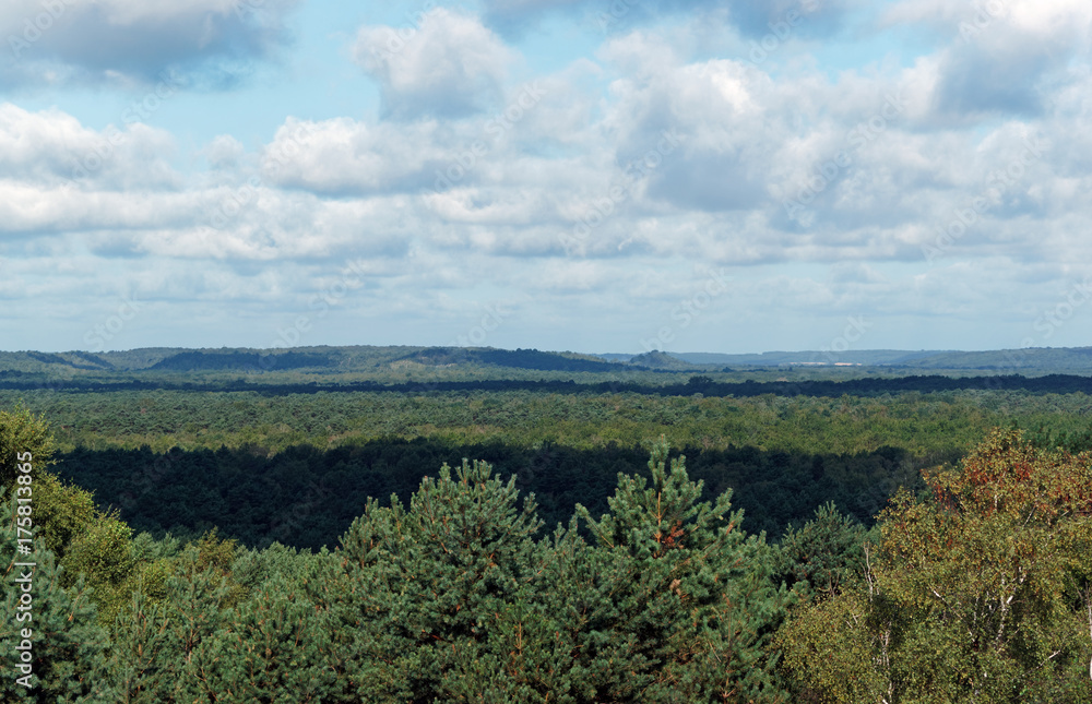 point de vue de Hurlevent en forêt de Fontainebleau