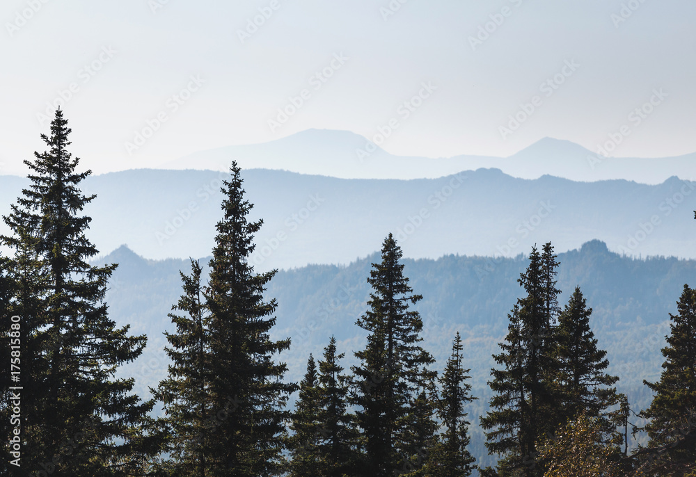 Far away Landscape of misty mountain hills covered by forest