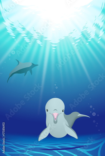 海中を泳ぐイルカ