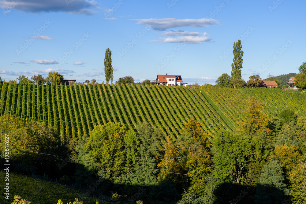 Famous touristic wine road, weinstrasse on the border between Austria and Slovenia