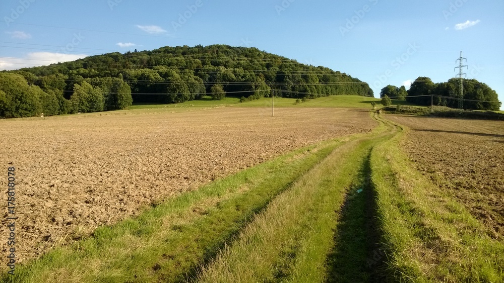 Hill Hill