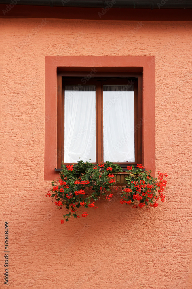 Window with flower Geranium on red wall Window with flower Geranium on red wall