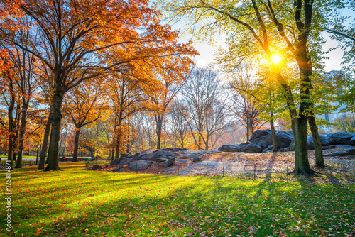 Central park in New York City at sunny autumn day, USA