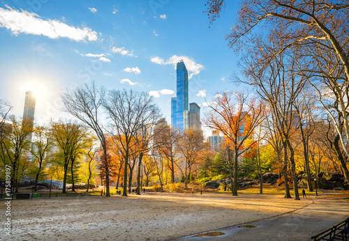 Central park in New York City at sunny autumn day, USA