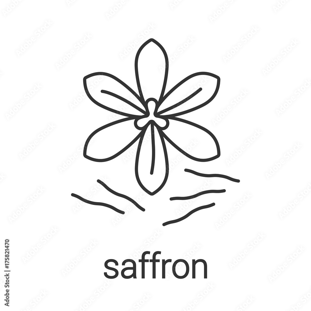 Saffron linear icon