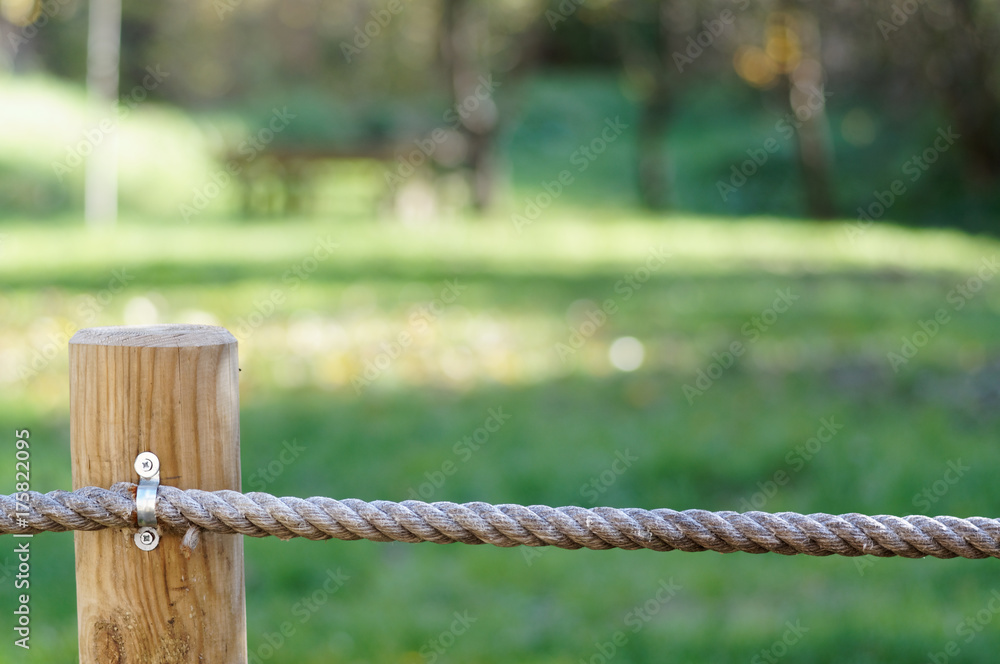 A wooden stake with thick ropes protects the green meadow.
