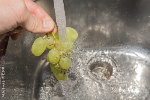 Trauben waschen mit Wasser für die Hygiene  photo