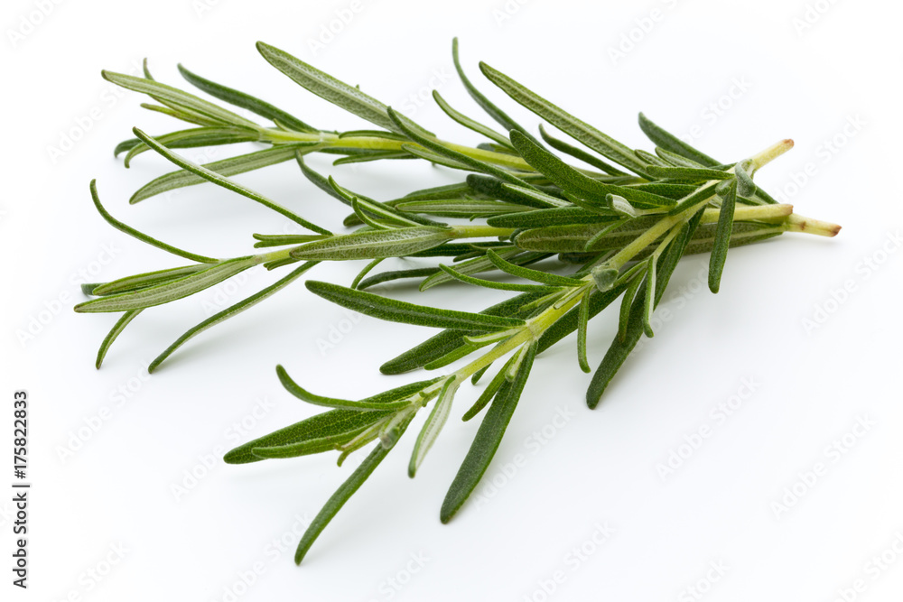 Fototapeta premium Rosemary isolated on white background, Top view.