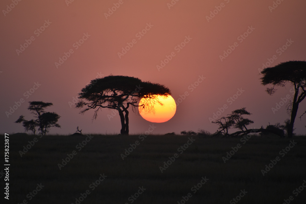 A new day begins at Serengeti, Tanzania
