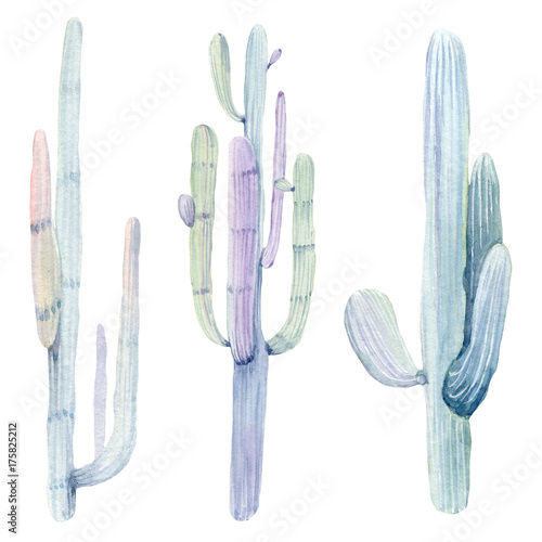 Hand drawn watercolor saguaro cactuses