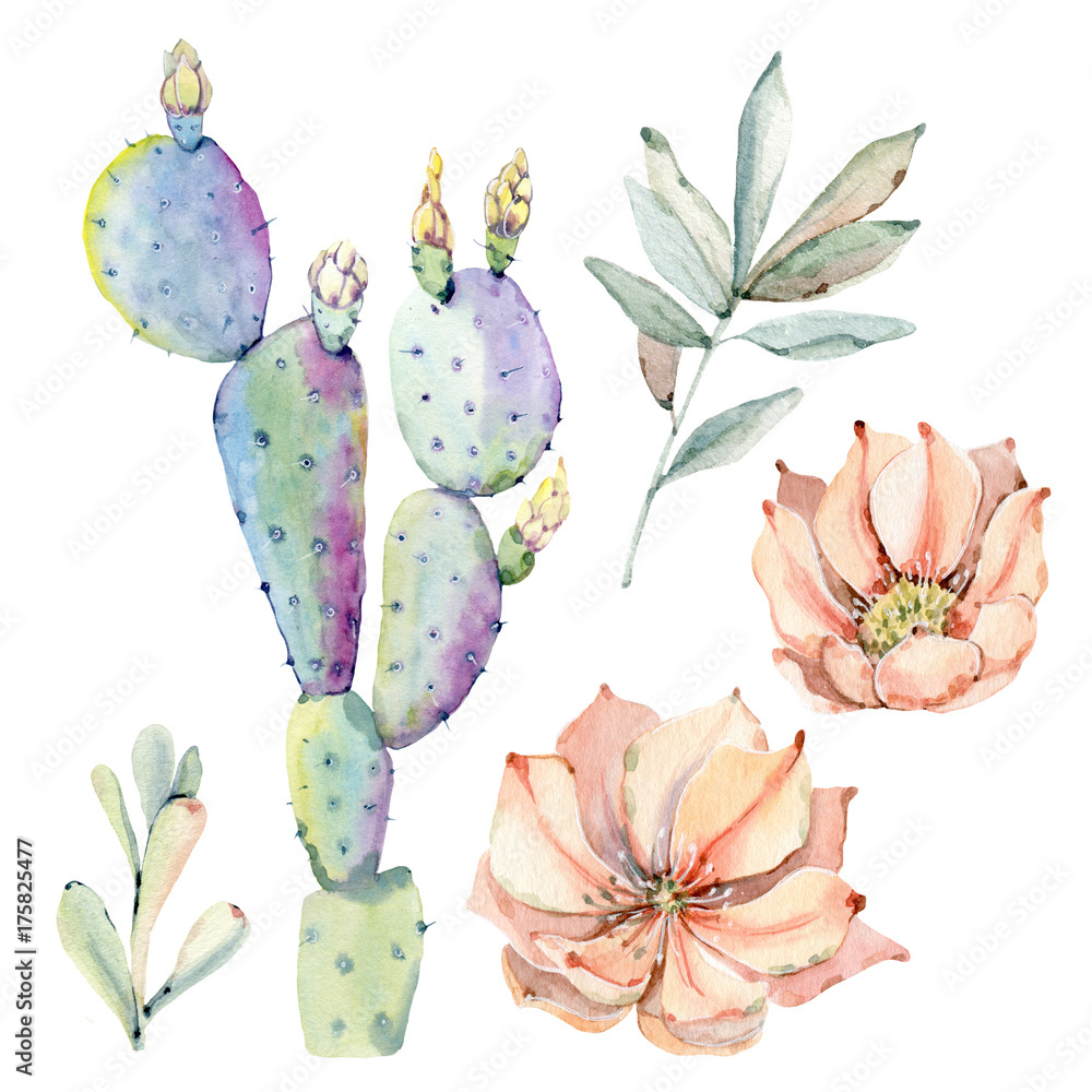 Hand drawn watercolor saguaro cactuses Hand drawn watercolor saguaro cactuses