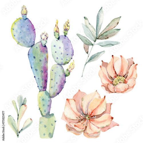 Hand drawn watercolor saguaro cactuses