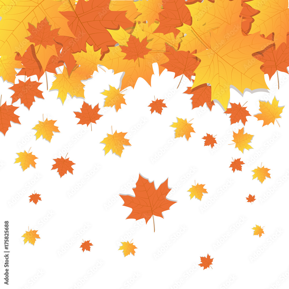Autumn Background Yellow Maple Leaves Fall Season Autumn Background Yellow Maple Leaves Fall Season