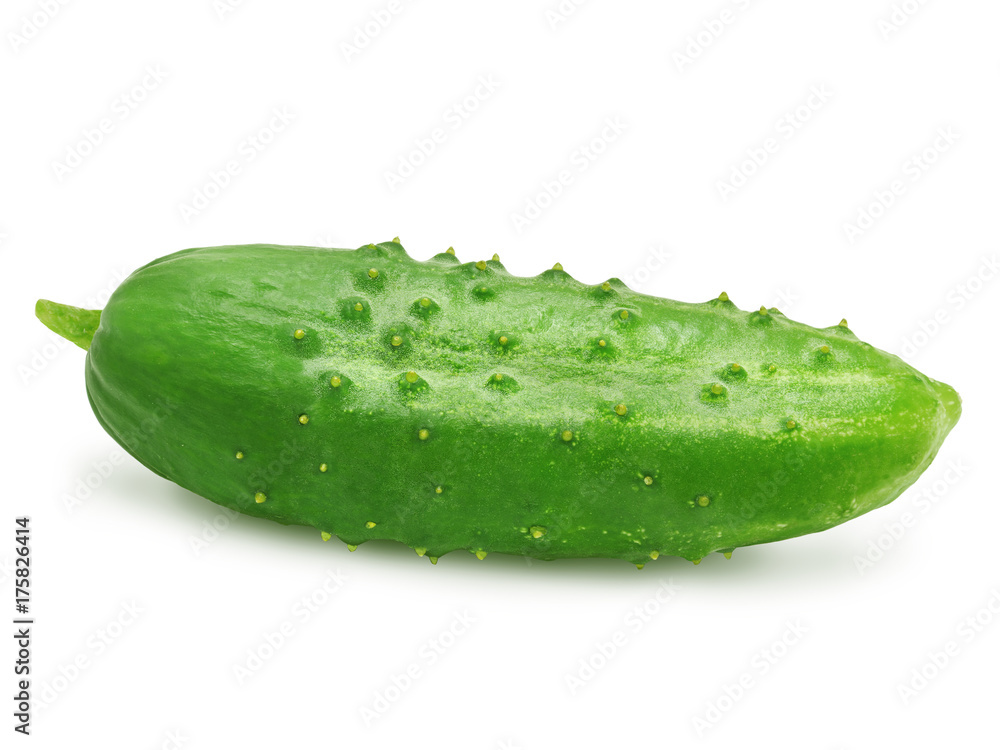 Fresh green ripe cucumber isolated on white background. Design element for product label, catalog print, web use. Fresh green ripe cucumber isolated on white background. Design element for product label, catalog print, web use.