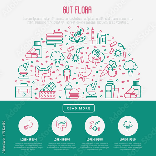 Gut flora concept in half circle with thin line icons: gut, bacteria, obesity, stomach, infection, depression, medicine. Vector illustration for background of medical survey or report.