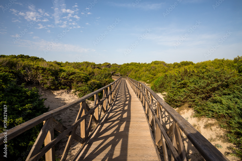 A boardwalk bridge from the beach to natural reserve in Can Picafort