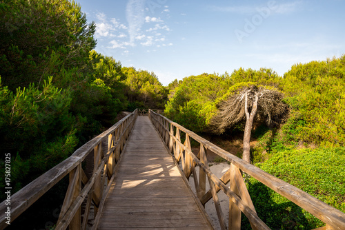 Obraz na płótnie A boardwalk bridge through natural reserve in Can Picafort, Majorca w salonie