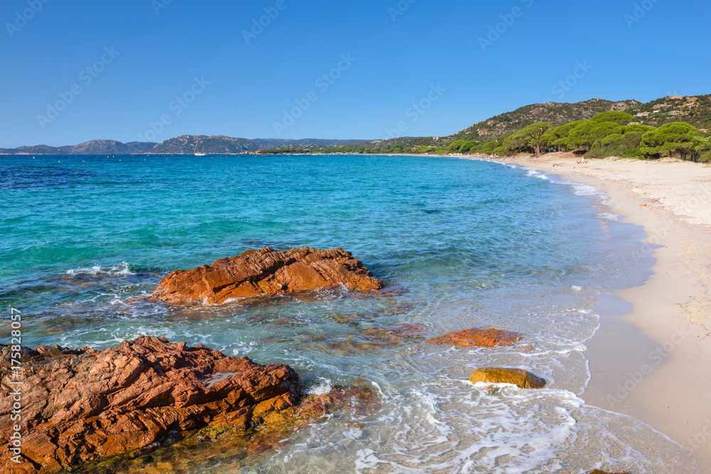 Fototapeta premium Corsica - Palombaggia Beach